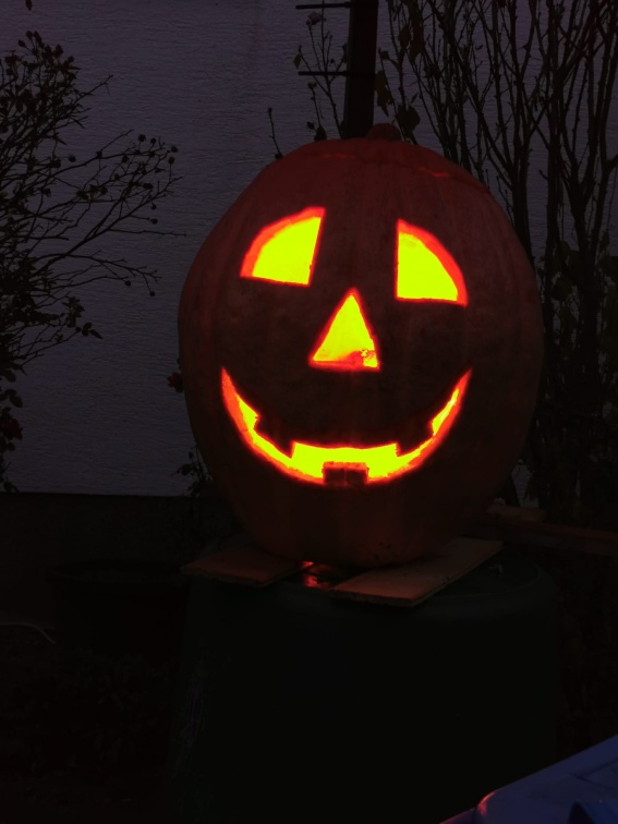 IMG-20211125-WA0002